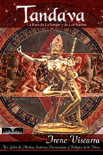 cubierta del libro Tandava de Mujer Búho Blanco Irene Viscarra